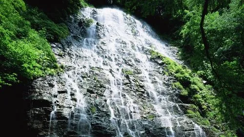 高端绿色先进